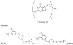 Figure imgf000025_0002