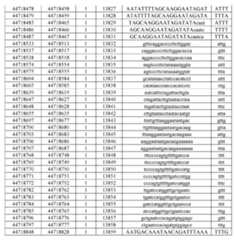 Figure imgf000475_0001