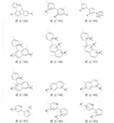 Figure 2022506382000034