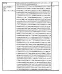 Figure 0007438604000112