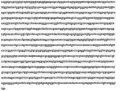 Figure 105117447-A0202-12-0023-15