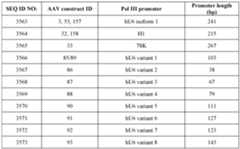 Figure imgf000125_0001