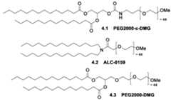 Figure imgf000004_0001