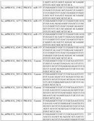 Figure imgf000166_0001