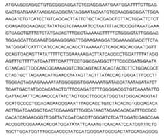 Figure 2022153375000027