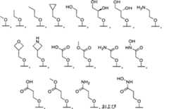 Figure 0007576799000017