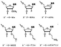 Figure 2025094072000022