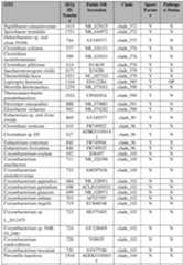 Figure imgf000401_0001