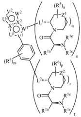 Figure imgf000053_0001
