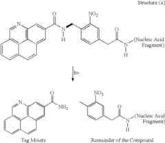 Figure US06613508-20030902-C00004
