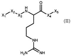 Figure imgf000007_0001