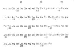 Figure 104119686-A0305-02-0162-2