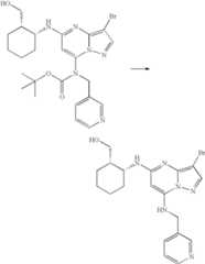 Figure US07119200-20061010-C01677