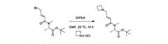 Figure 2025502748000127