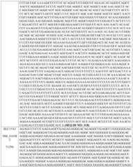 Figure imgf000212_0001