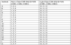 Figure imgf000051_0002