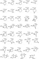 Figure imgf000281_0001