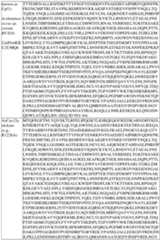 Figure imgf000160_0001