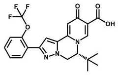Figure 2022507724000266