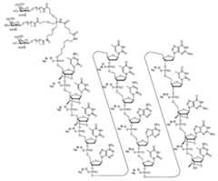 Figure 0007422816000004