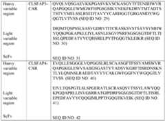 Figure imgf000024_0001