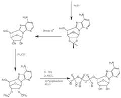 Figure imgf000699_0002