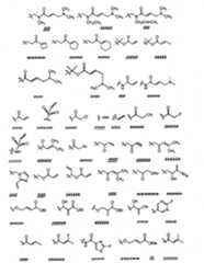 Figure BPA00001280125600481