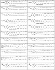 Figure imgf000038_0001