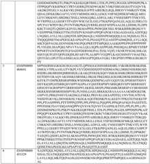 Figure BDA0003549429610000551