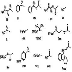 Figure 112009024346709-pct00028