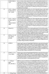 Figure BDA0003246179980001251