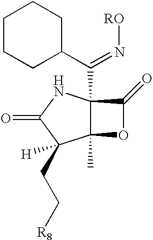 Figure US08394816-20130312-C00019