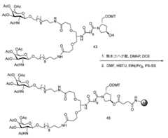 Figure 0007429103000234