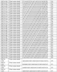 Figure imgf000179_0001