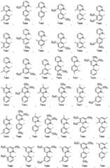 Figure FDA0002713839610000161