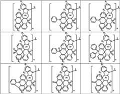 Figure GPA0000246445170000091