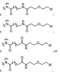 Figure imgf000004_0003