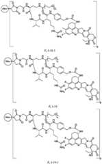 Figure BDA0003674984870000331