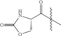 Figure US09127021-20150908-C00163