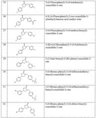 Figure imgf000019_0001