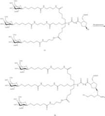 Figure US09957292-20180501-C00237