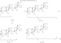 Figure US09127038-20150908-C00021