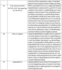 Figure BDA0004113436180000561