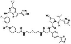 Figure BDA0002964098100002071