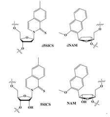 Figure 2022169649000002