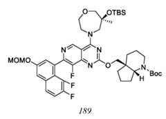 Figure imgf000307_0001