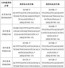 Figure BDA0002978200010002091