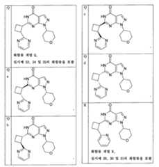 Figure 112013003750924-pct00027