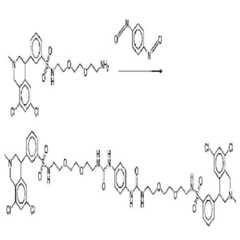 Figure 112011059052603-pct00429