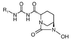 Figure imgf000019_0001